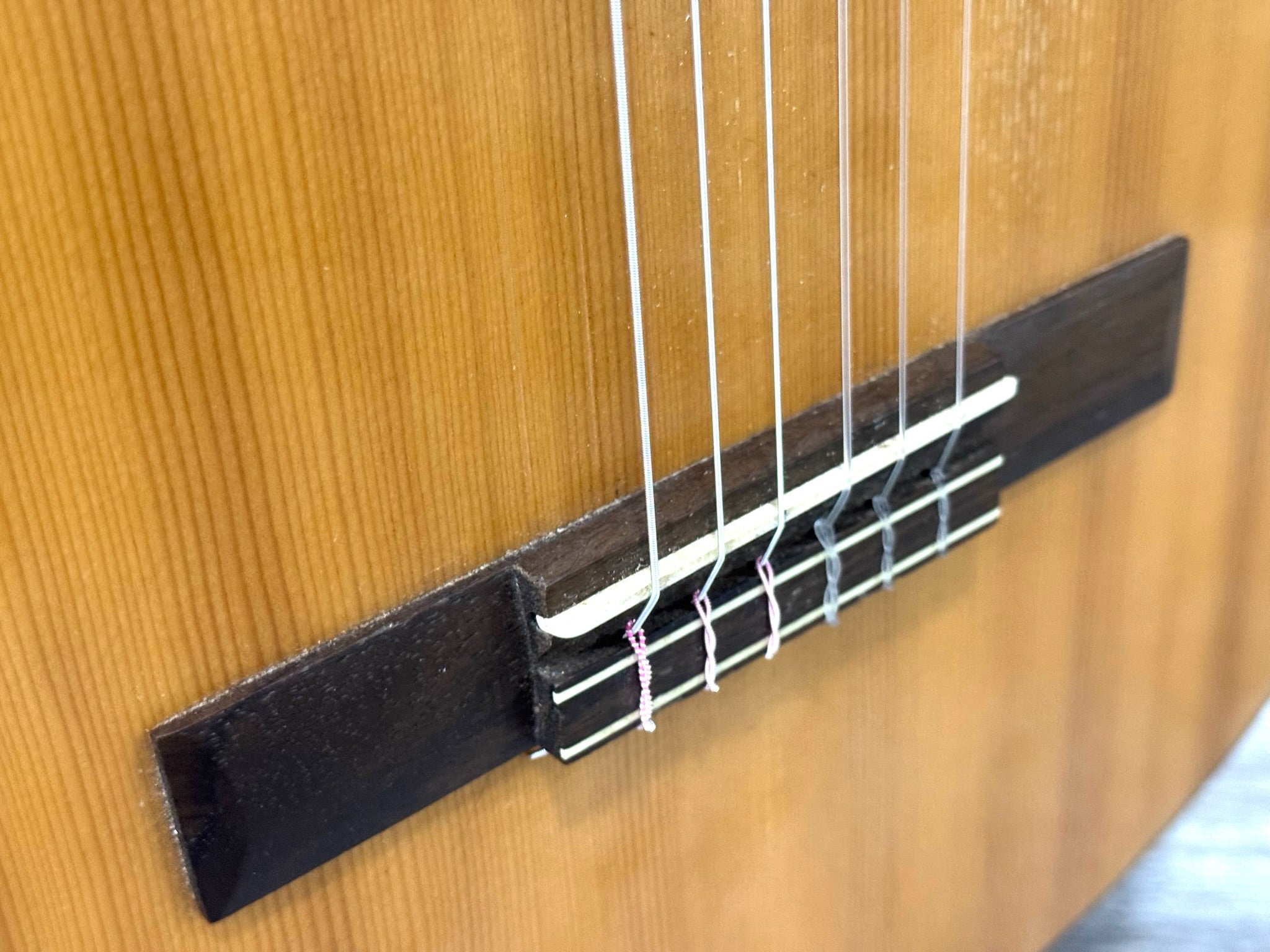 Guitarra Admira Sara EC con Funda