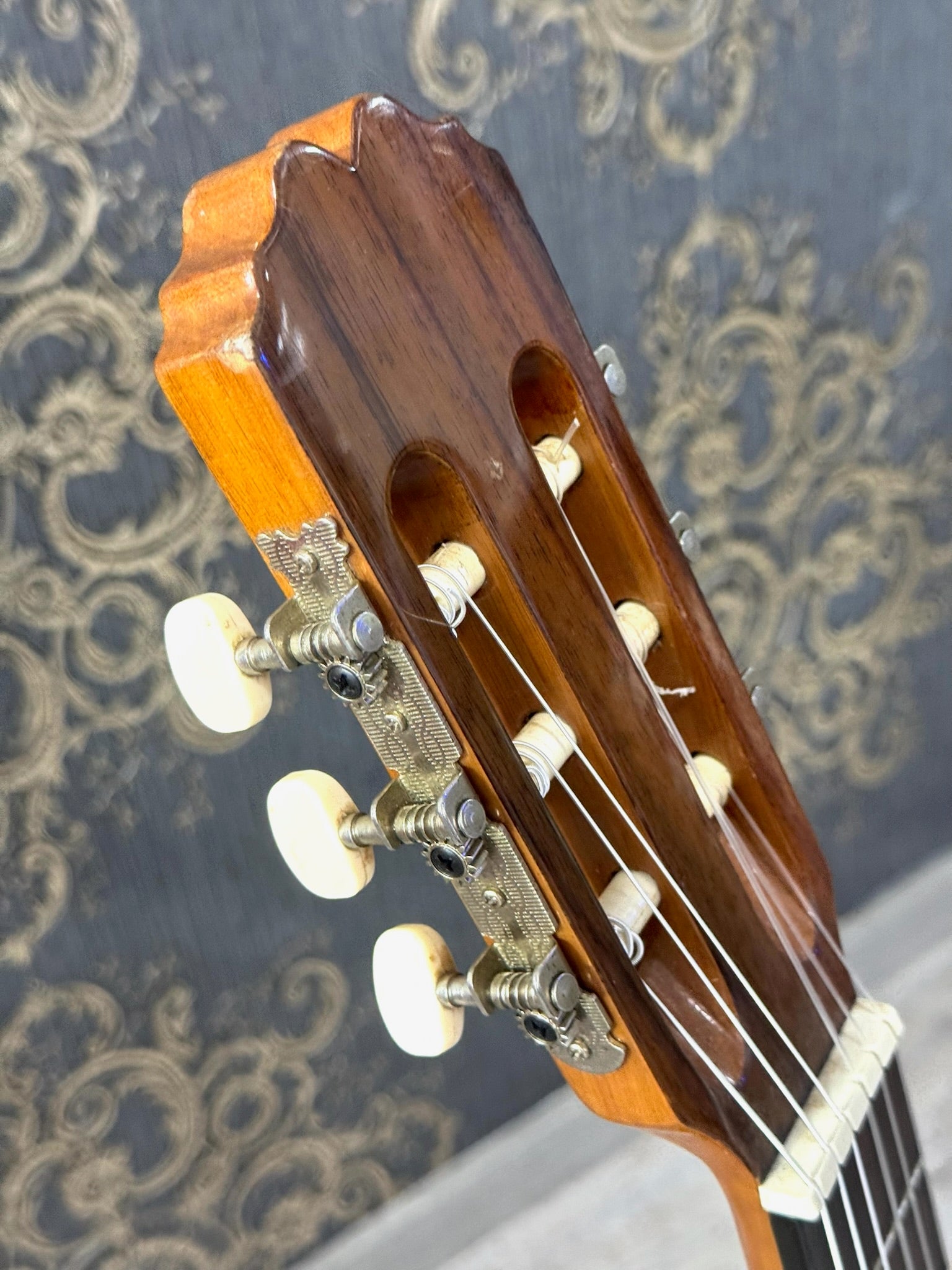 Guitarra Admira Sara EC con Funda