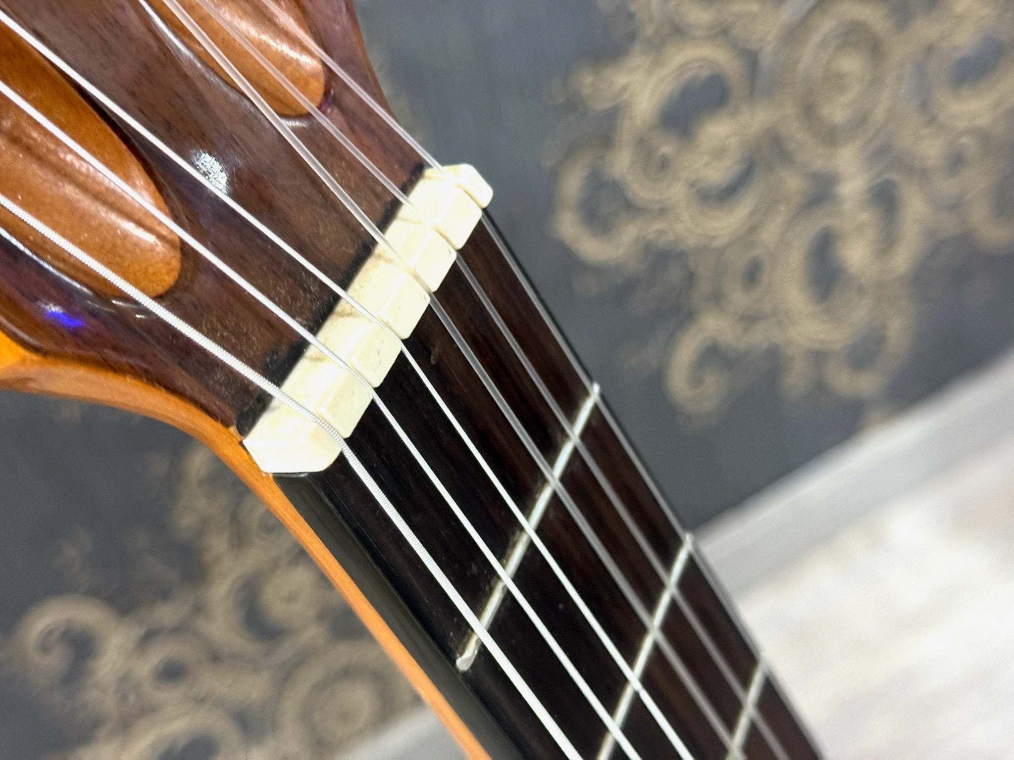 Guitarra Admira Sara EC con Funda